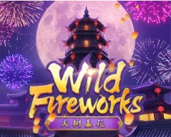 tomato9999 wildfireworks